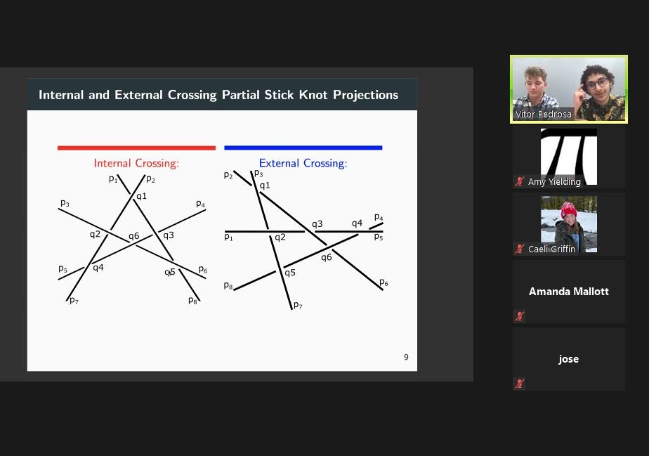 Math charts on Zoom