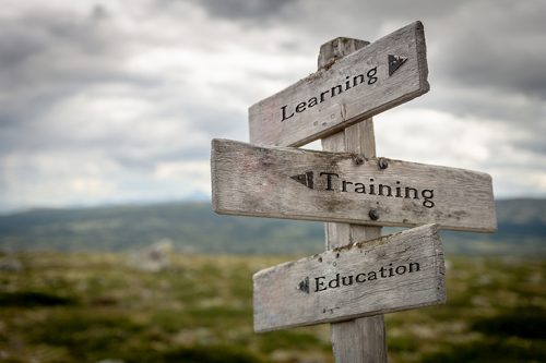 <strong>Summer Scholars Report: Preservice Teacher Reflections From a Grow Your Own Teacher Pathway Centered on Cultural and Linguistic Responsive Practices</strong>