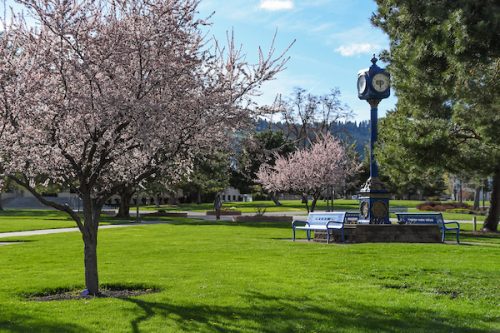 Board of Trustees set to meet Feb. 15 and 16